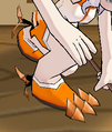 Talons' appearance